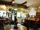 plant's cafe ʐ^
