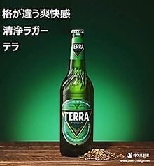 韓国ビール TEERA