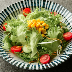 もとやまサラダ