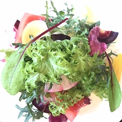 三浦の地野菜のグリーンサラダ