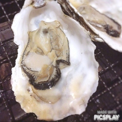 九十九島産 生カキ(殻付き) 2ヶ