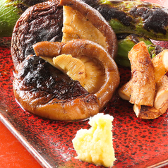 栃木　肉厚しいたけ