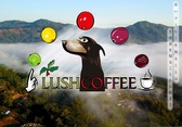 LUSH COFFEE ʐ^