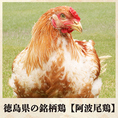 徳島県の地鶏【阿波尾鶏】！阿波尾鶏の肉質は身が締まって適度な歯ごたえがあり、脂肪が少なくなめらかで弾力とコクがあり、旨味成分であるグルタミン酸などのアミノ酸が多く含まれております！そんな阿波尾鶏を使用した水炊きは、鳥臭さを除きコクのあるスープに仕上げた自慢の水炊きです！