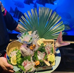 居酒屋 幾蔵 いくぞう 駅前本店のコース写真