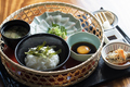 料理メニュー写真&nbsp;日向飯