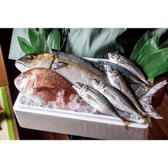 個室・海鮮・おでん　野毛商店　別邸あねごの特集写真