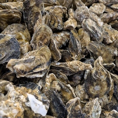 活魚村 海彦のコース写真