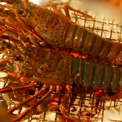 紅 池下のコース写真