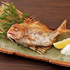 鯛塩焼き