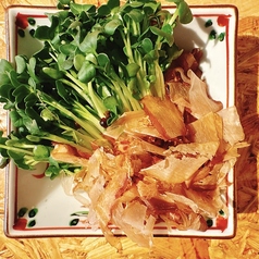 かいわれサラダ