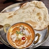 インド料理 マーヒルのおすすめポイント2