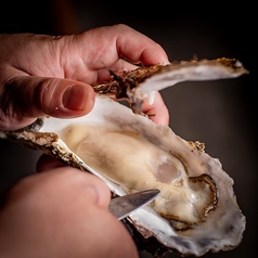 もつと牡蠣 焼き鳥にの すすきの本店特集写真1
