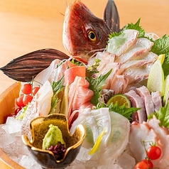全席扉付き個室　旨いマグロと信玄どり　海鮮居酒屋　うお城　川崎駅前店のコース写真