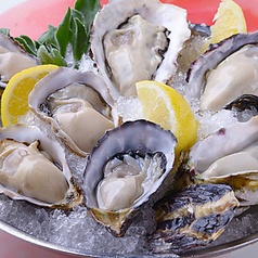 Oyster Bar ジャックポット新宿のおすすめポイント1