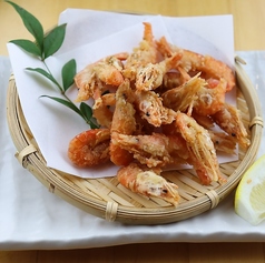 川海老唐揚げ/若鶏天ぷら/大判アジフライ/ドロメかき揚げ