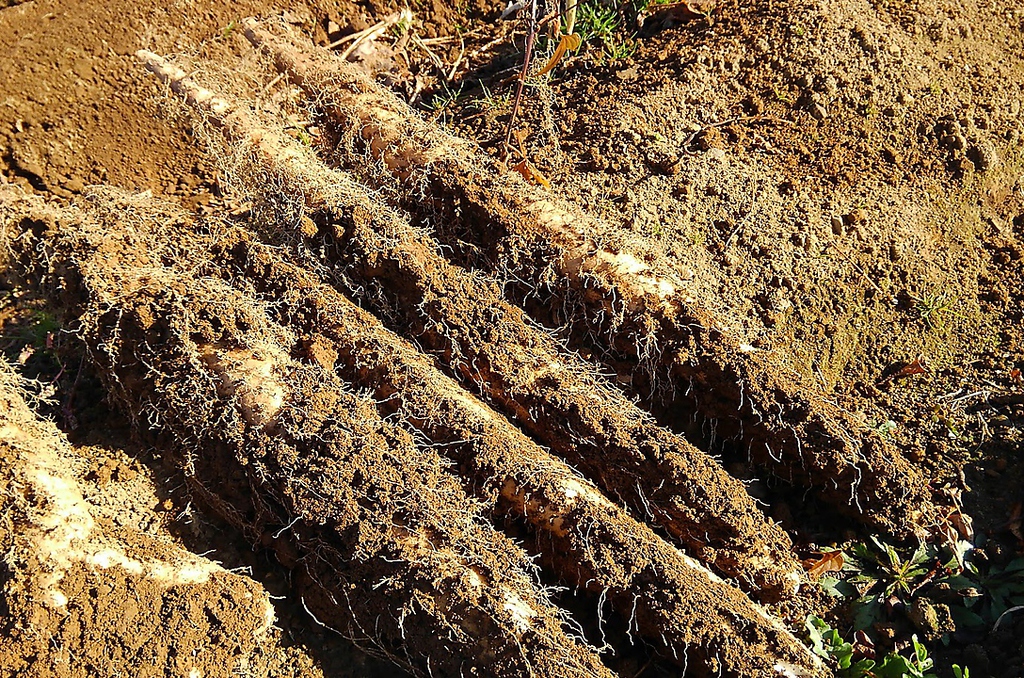 居酒屋 みつぶ 松本駅前店の写真ギャラリー
