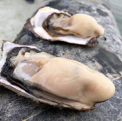 三陸産殻付生牡蠣