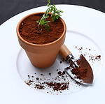 SNS映えすること間違いなし!「鉢植えティラミス」や「花畑牧場のカタラーナ」等デザートも☆