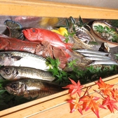 ネタケースに並ぶ新鮮な魚介類！地産地消にこだわり長崎県産の朝獲れのものを中心に多数取り揃えております！