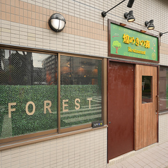 煌めきの森の雰囲気2