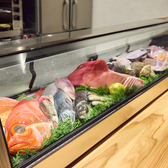 料理人の手捌きを目の前で眺められるカウンター席は、お一人様やデートに人気の特等席。水槽から揚げた食材が鮮やかに調理されるライブ感は、食欲を一層かき立てます。料理長との会話を通じて、その日のおすすめや日本酒のこだわりを知るのも贅沢な楽しみ方。大人の隠れ家のような雰囲気の中で、至福の時をお過ごしください