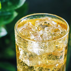 串や kushiya くしやのコース写真