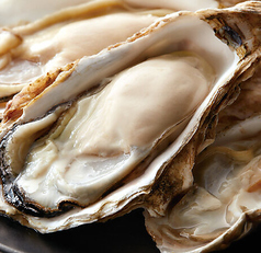 旬菜旬魚と地酒 野良のまたたびのコース写真