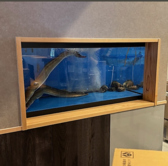 店内の大型水槽には、ふぐや伊勢海老、アワビなど豪華食材が勢ぞろい。注文後にその場で引き揚げて捌くため、鮮度はこれ以上ない最高級の状態です。命の躍動を間近に感じる演出は、これから始まる美食への期待感を高めます。職人の技が光る「捌きたて」ならではの究極の食感と旨みを、ぜひ五感でお楽しみください。