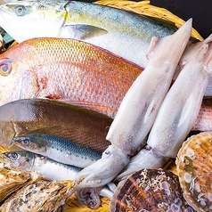 個室と朝採れ鮮魚 ことぶきや 成城学園前 の写真2