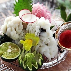 季節限定のおすすめ料理※2026年6月8日～　鱧(はも)の湯引き