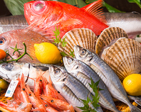 新鮮活魚＆美彩和食