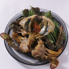 韓国料理 CHE5 チェゴのおすすめ料理1