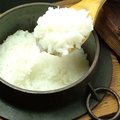 料理メニュー写真 菊池米の銀シャリ（中）2名様分