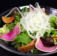 彩り旬野菜サラダ