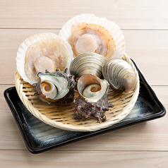 貝焼セット《並盛り》　帆立 1ヶ/活さざえ 1ヶ/活ホンビノス貝 1ヶ