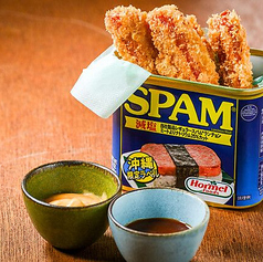 スパムスティックフライ