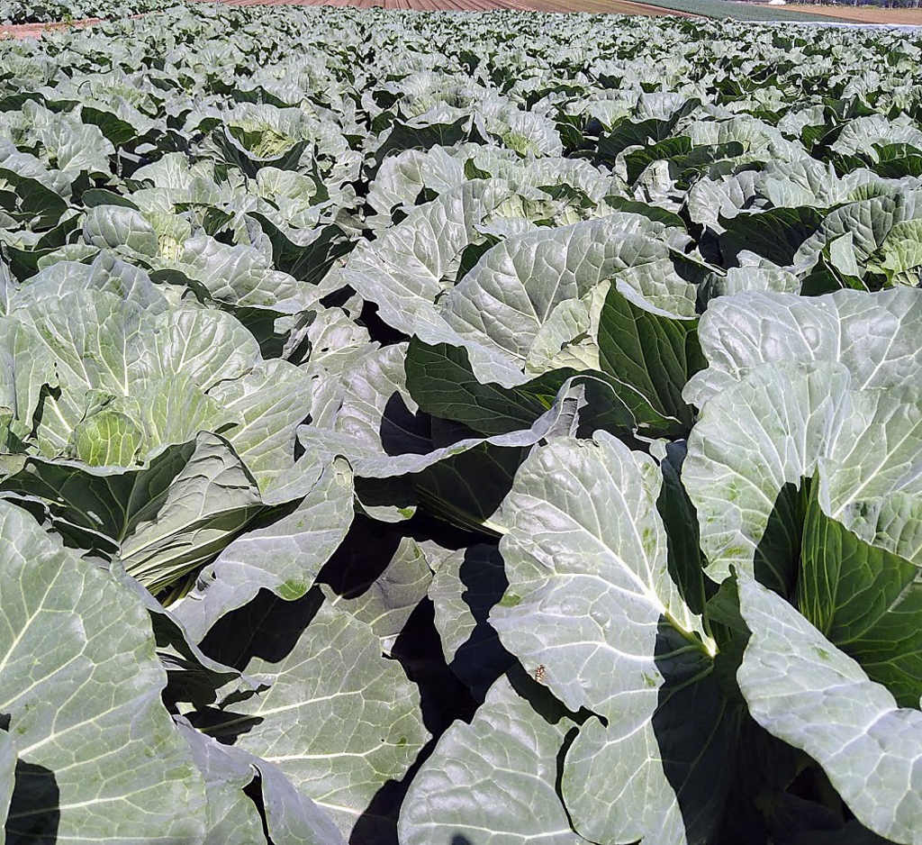 居酒屋 みつぶ 松本駅前店の写真ギャラリー