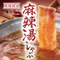 温野菜 上本町店のコース写真