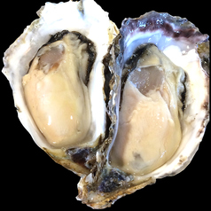 生牡蠣 プレーン(レモン) 1pieces　Raw oyster