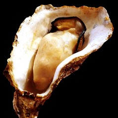 焼き牡蠣 1pieces　Grilled oyster