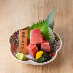 本マグロトロブツ