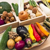 季節ごとに厳選した野菜を使用しお客様に新鮮で美味な料理を提供しています。野菜の本来の味わいを大切にし、手間暇かけた調理法でお客様に健康的で満足感のある食事をお届けしています。お客様が心身ともにリフレッシュできるよう心を込めたサービスを心がけています。旬の野菜がもたらす豊かな味わいをお楽しみください。