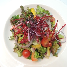 農園野菜のサラダ