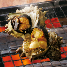 活さざえ壺焼　1ヶ