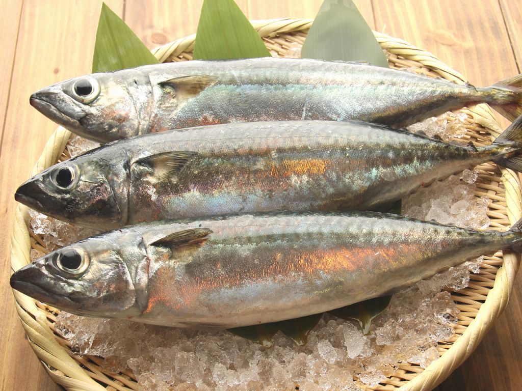 春は桜鯛、夏は鮎、秋は秋刀魚、冬は鰤など‥そのとき旬の鮮魚をご用意！！