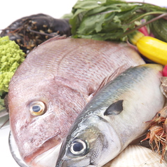 契約農家から届くお野菜や全国から取り寄せたお肉やお魚