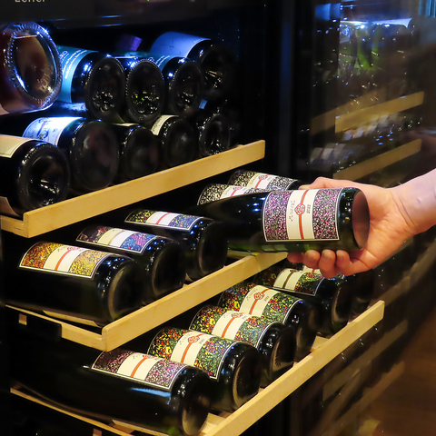 Reconnaissance RlbTX