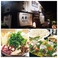 居酒屋専科大樹の画像