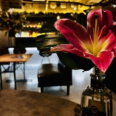 Dininng Zill ダイニングジル 都町の特集写真